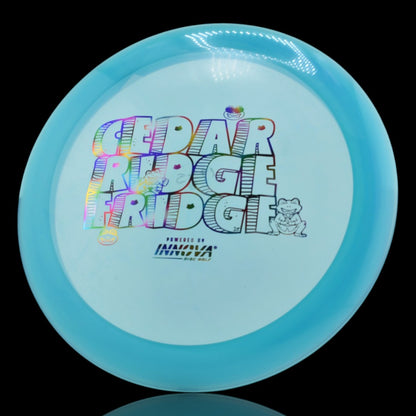 Disc Golf Innova Champion Tern Disc Golf Discs
