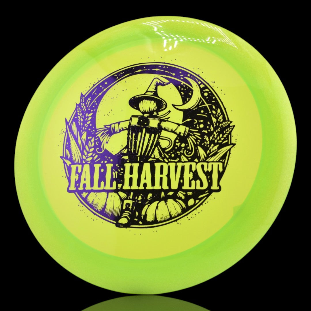 Disc Golf Innova Champion Tern Disc Golf Discs