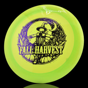 Disc Golf Innova Champion Tern Disc Golf Discs