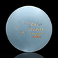 Formula Collection: Innova DX Glow Polecat birdie hunter Disc Golf Discs